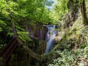 Düzce Gezilecek Yerler Huzurlu Bir Tatil Deneyimi