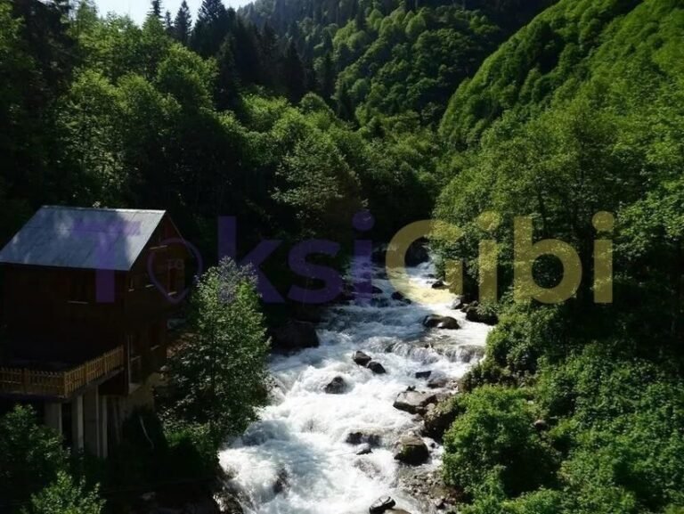 Rize'de Ne Yenilir Ne İçilir Damak Çatlatan Eşsiz Tatlar